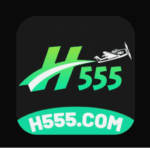 H555 Game