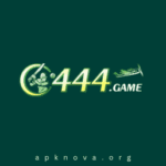 C444 Game