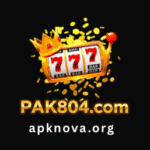Pak804 Game