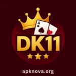 DK 11 Game